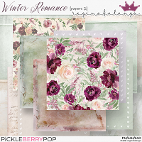 WINTER ROMANCE PAPERS 2