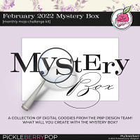February 2022 Mystery Box