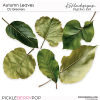 CU Autumn Green Leaves