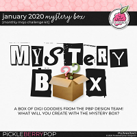 January 2020 Mystery Box 