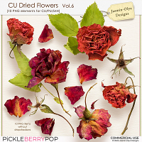 CU Dried flowers Vol.6 (Jasmin-Olya Designs)