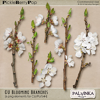 CU Blooming Branches