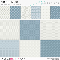 Simple Finds 06 Patterns (CU)