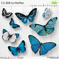 CU 808 BUTTERFLIES 