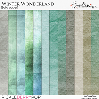 Winter Wonderland-Solid paper