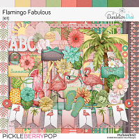 Flamingo Fabulous: Kit