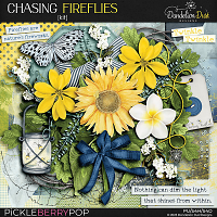 Chasing Fireflies: Kit