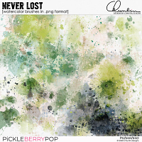 NEVER LOST - watercolor brushes in .png format