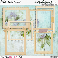 Hold this Moment Frames by et designs