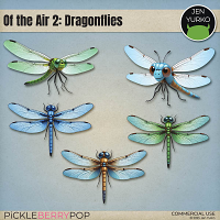 CU Of the Air 2: Dragonflies