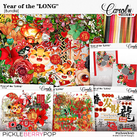 Year of the "LONG"-Bundle