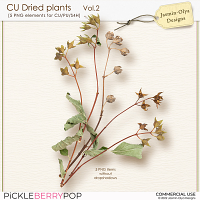 CU Dried Plants Vol.02 (Jasmin-Olya Designs)