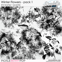 Winter Flowers (CU brushes + accents) pack 1