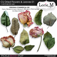 CU Dried Flowers & Leaves 01