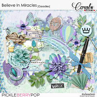 Believe In Miracles-Goodies