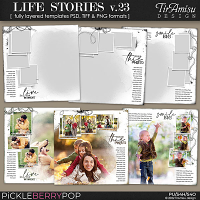 Life Stories Templates vol.23 November