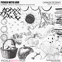 Picked With Love - scribbles, stamps & inked pieces in .png format