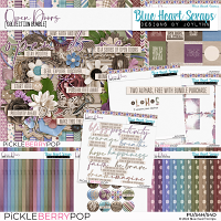 Open Doors Collection Bundle