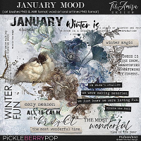 January Mood ~ brushes and word art by TirAmisu design