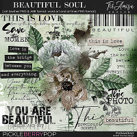 Beautiful Soul ~ brushes and word art by TirAmisu design