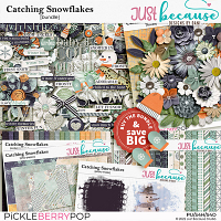 Catching Snowflakes Bundle by JB Studio