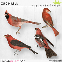 CU 044 BIRDS