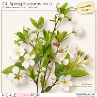 CU Spring Blossoms Vol.11 (Jasmin-Olya Designs)