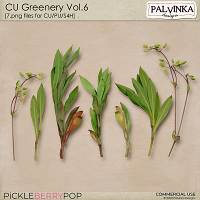 CU Greenery Vol.6