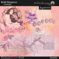 Bold Elegance Overlays