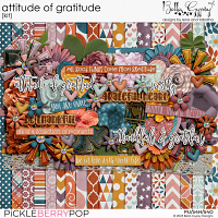 Attitude of Gratitude Kit