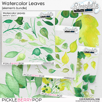 Watercolor Leaves (CU elements BUNDLE)