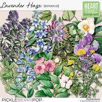 Lavender Haze Botanical