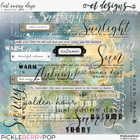 Last Sunny Days Word Art