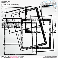 Frames (CU brushes + accents)