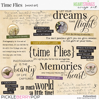 Time Flies Word Art