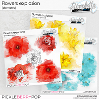 Flowers Explosion BUNDLE (CU elements)