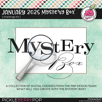 January 2025 Mystery Box