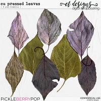 CU Pressed Leaves by et designs