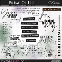 Prime Of Life ~ Word Art 