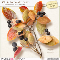 CU Autumn Mix. Vol.12 (Jasmin-Olya Designs)