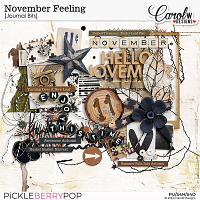 November Feeling-Journal Bits