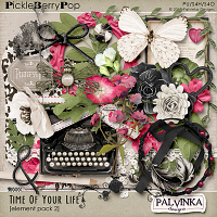 Time Of Your Life Elements pack 2