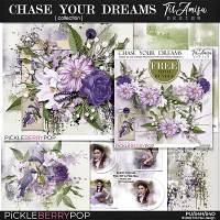 Chase Your Dreams Bundle Plus Free Gift  