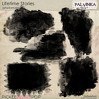 Lifetime Stories Photomasks