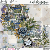 Beauty in Between Collection by et designs