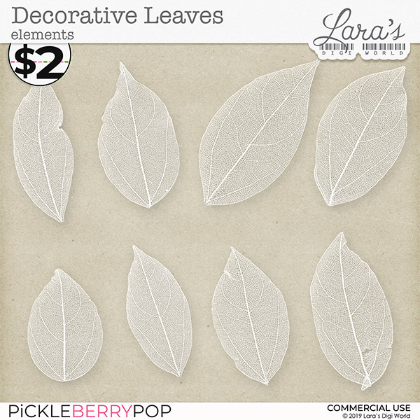 Decorative Skeleton Leaves