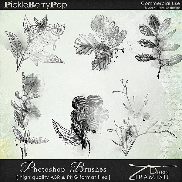 brushes ~vol.31 by Tiramisu design at Pickleberrypop