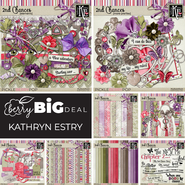 2nd Chances: BBD Bundle by Kathryn Estry Designs at Pickleberrypop