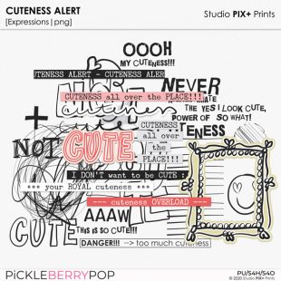 Cuteness Alert Expressions by Studio PIX + Prints at Pickleberrypop